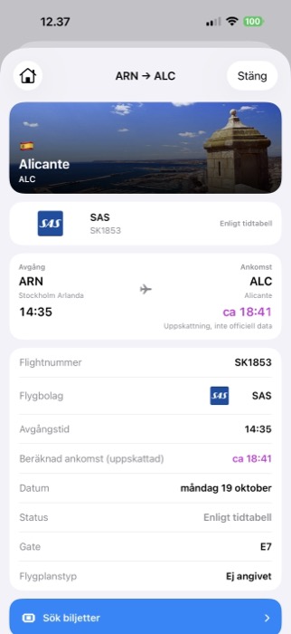 Flyginformation